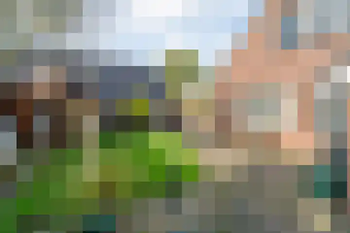 Baalder-Esch 155 Hardenberg thumbnail 43