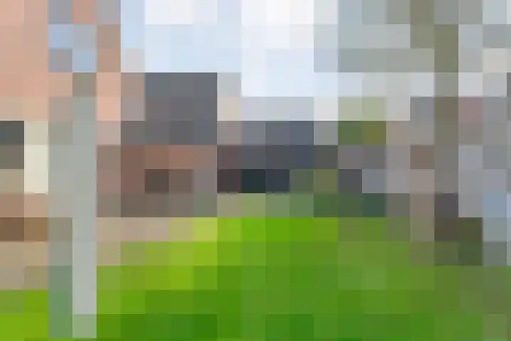Baalder-Esch 155 Hardenberg thumbnail 44