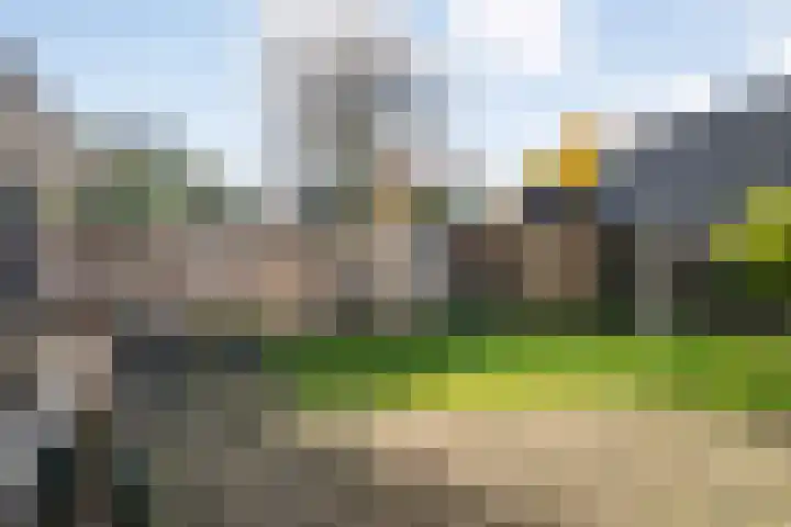 Baalder-Esch 155 Hardenberg thumbnail 45