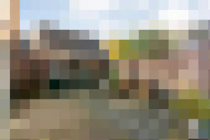 Baalder-Esch 155 Hardenberg thumbnail 46