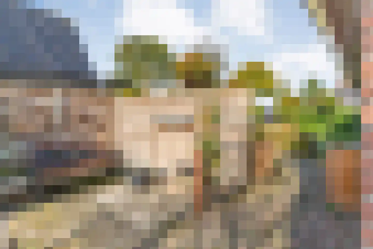 Baalder-Esch 155 Hardenberg thumbnail 48