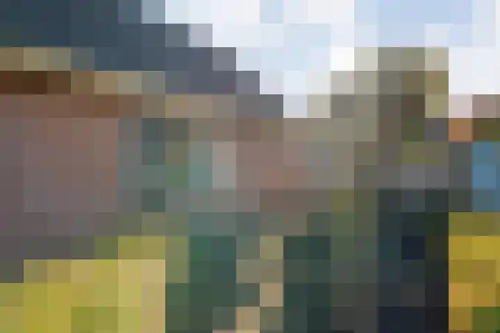 Baalder-Esch 155 Hardenberg thumbnail 5