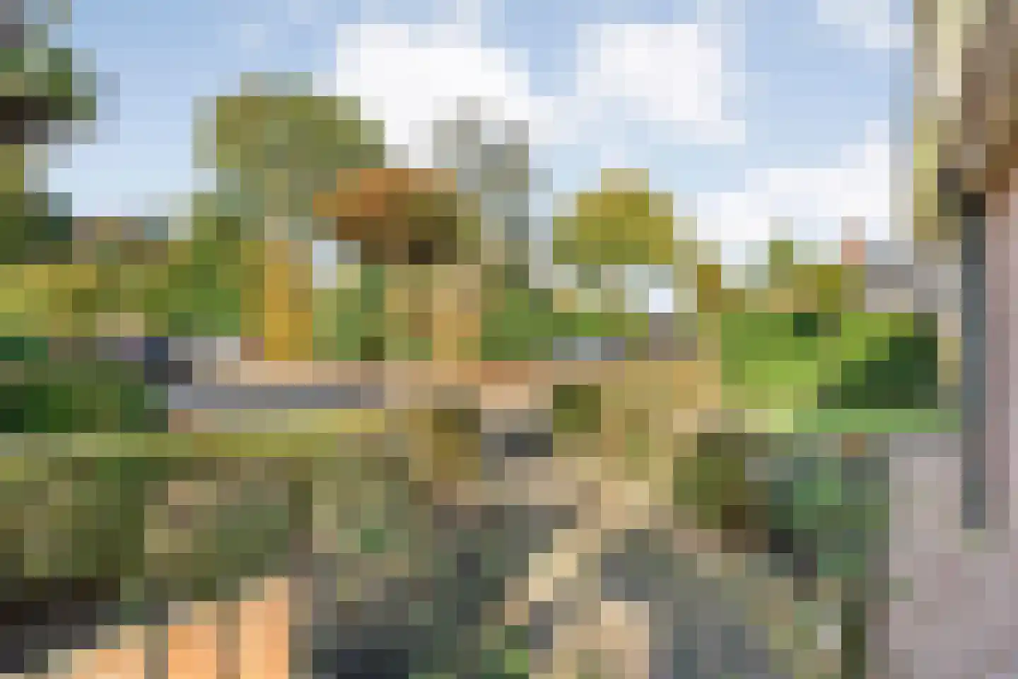 Baalder-Esch 155 Hardenberg thumbnail 6