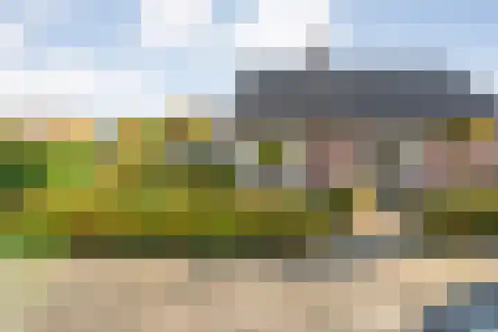 Baalder-Esch 155 Hardenberg thumbnail 7