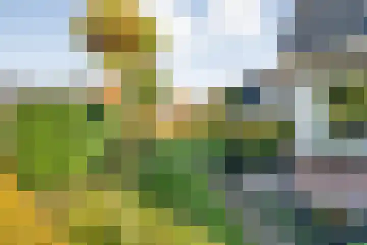 Baalder-Esch 155 Hardenberg thumbnail 8