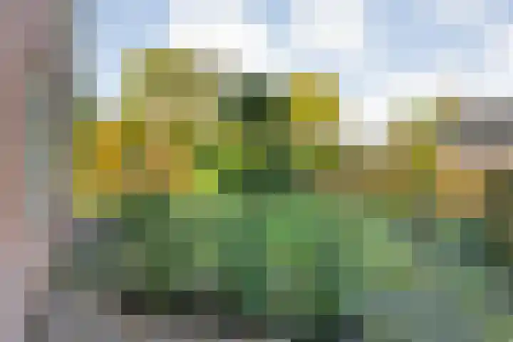 Baalder-Esch 155 Hardenberg thumbnail 9