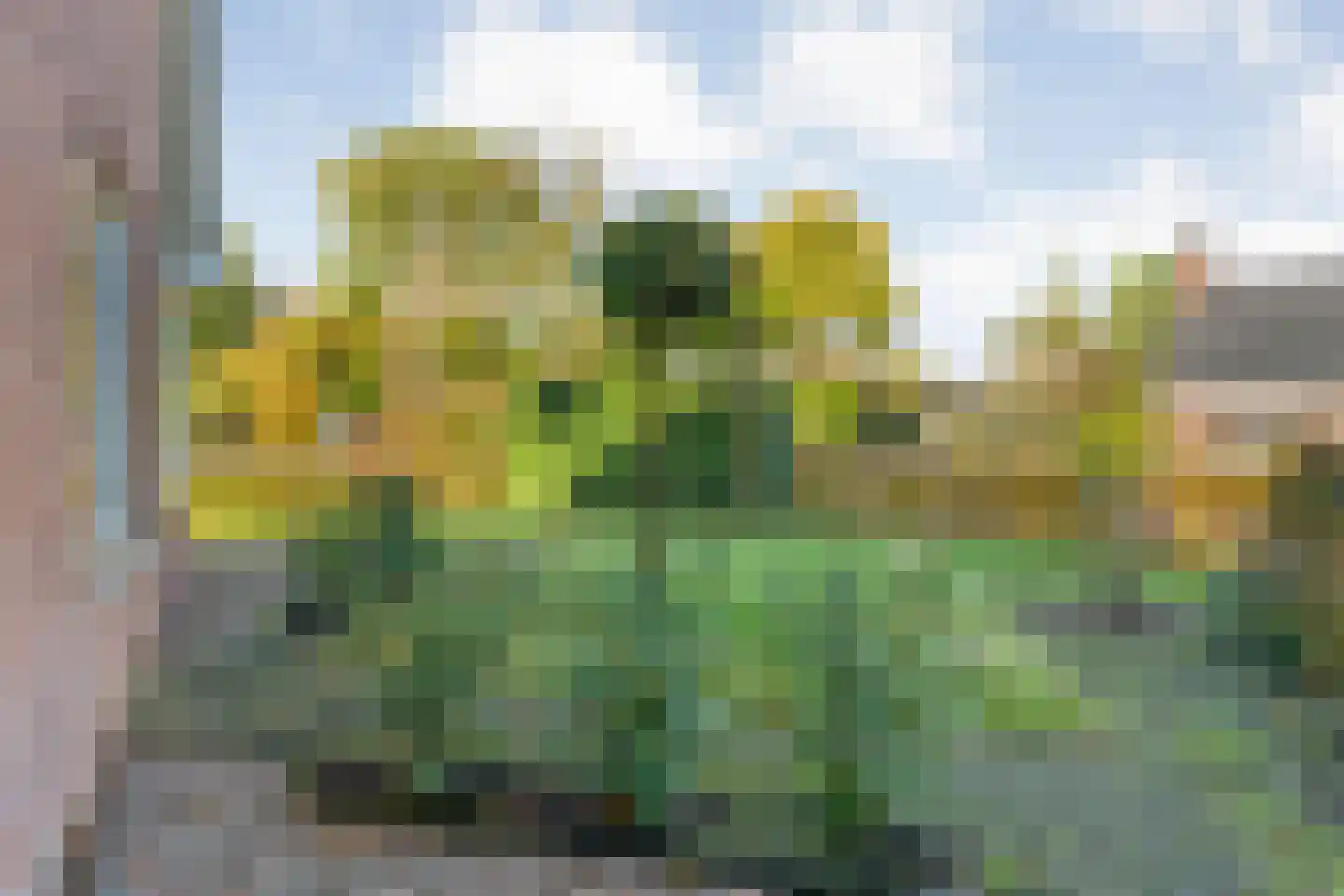 Baalder-Esch 155 Hardenberg thumbnail 9