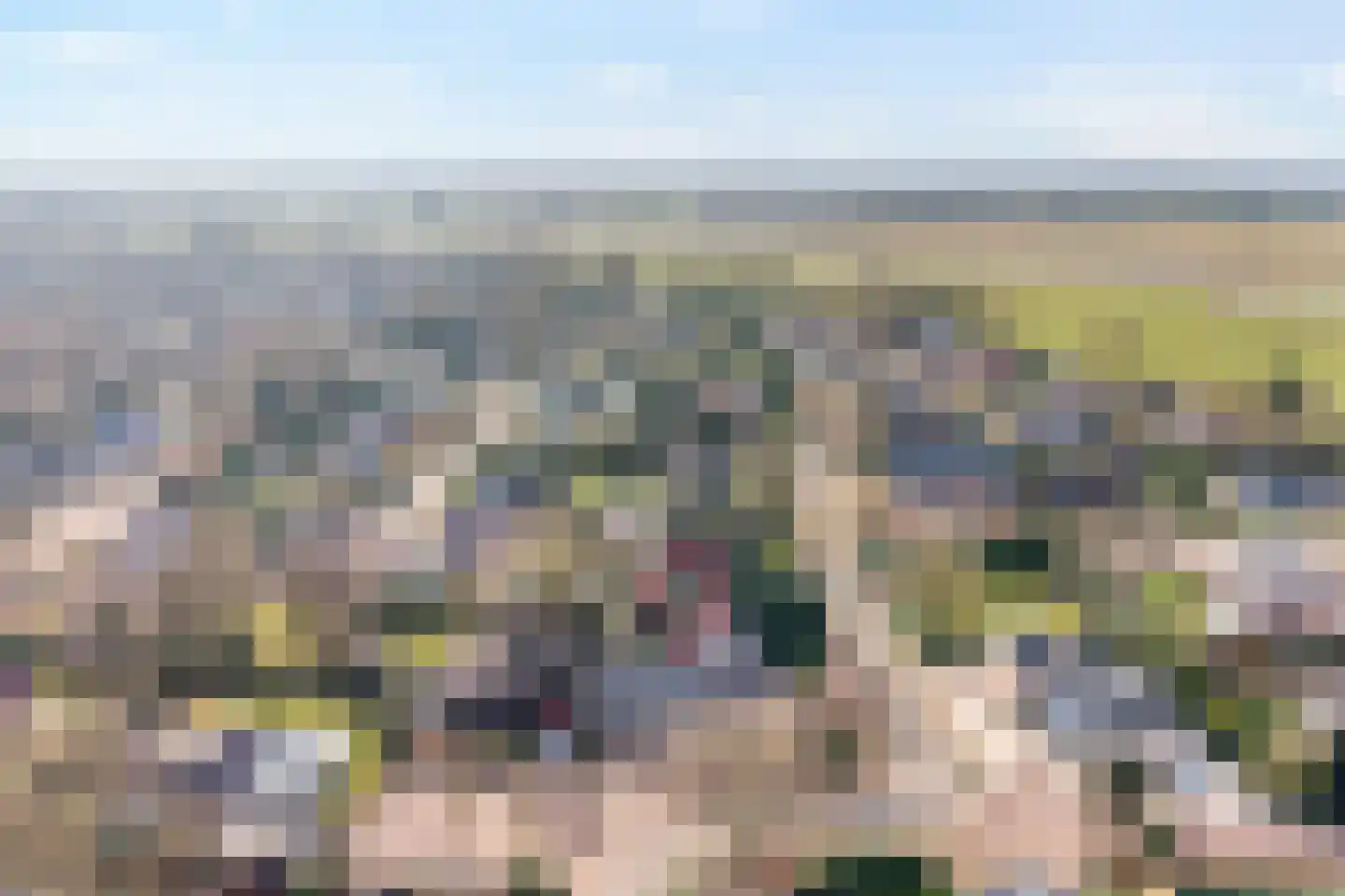 Baalder-Esch 20 Hardenberg thumbnail 6