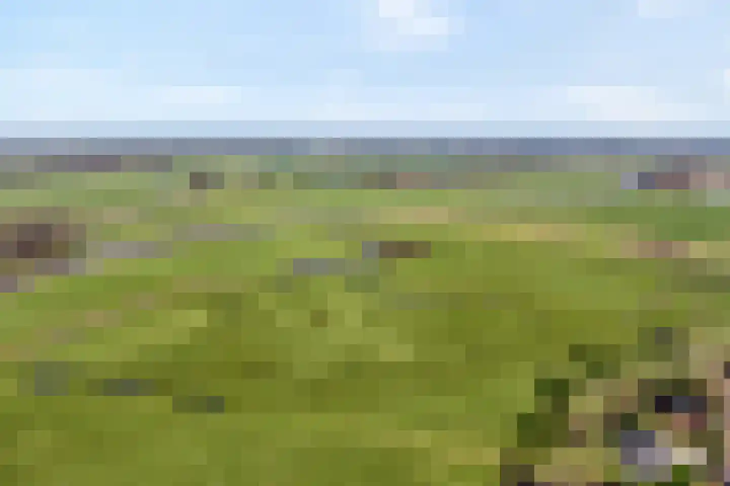 Baalder-Esch 20 Hardenberg thumbnail 8