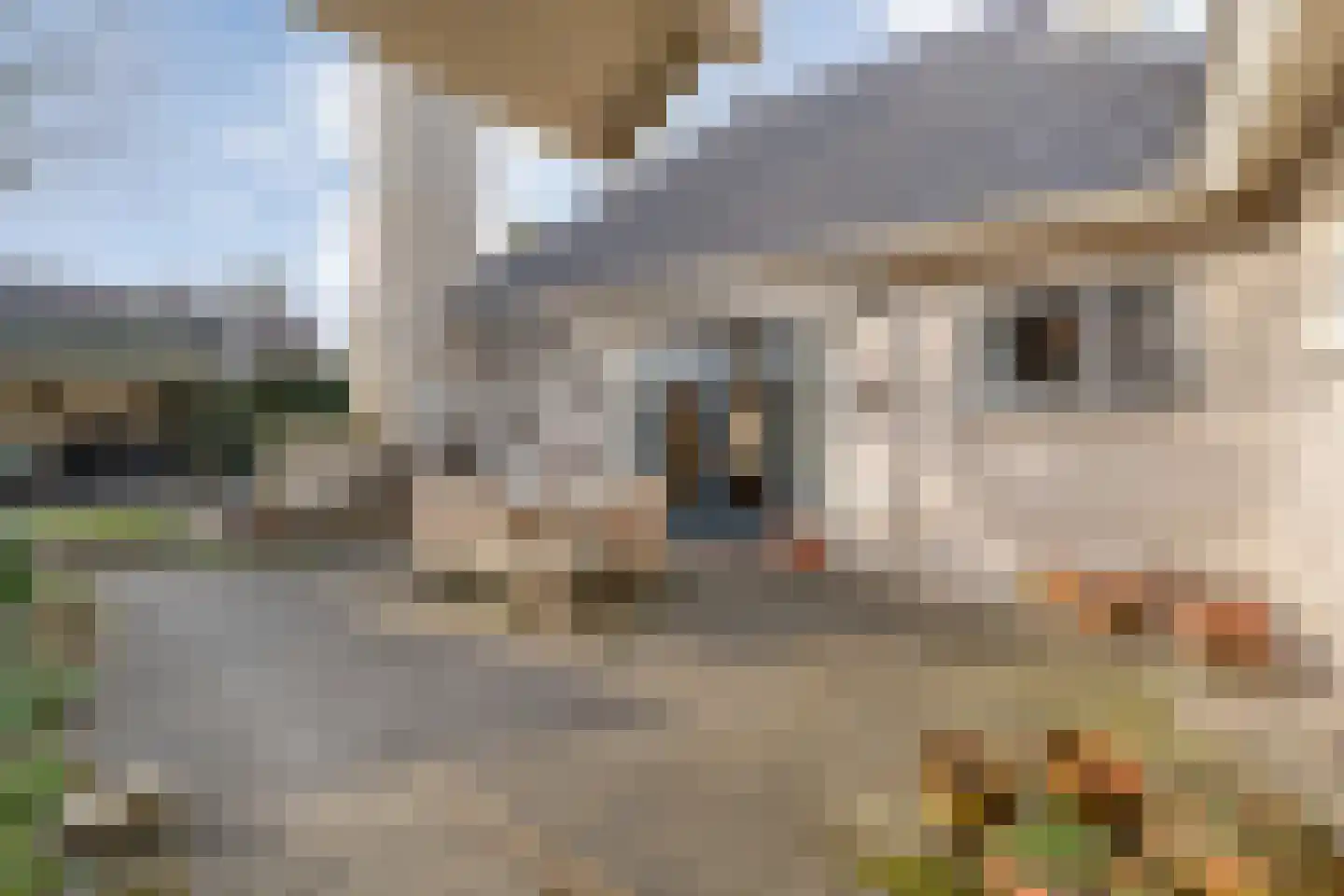 Baalder-Esch 20 Hardenberg thumbnail 80