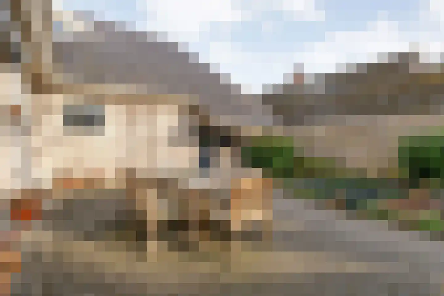 Baalder-Esch 20 Hardenberg thumbnail 81