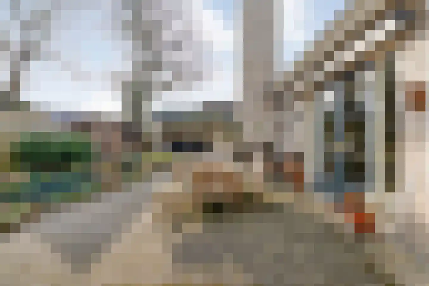Baalder-Esch 20 Hardenberg thumbnail 82