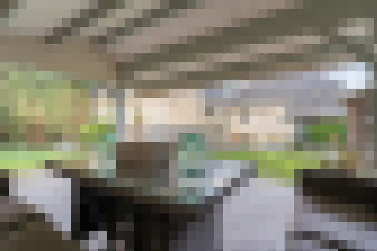 Baalder-Esch 20 Hardenberg thumbnail 85