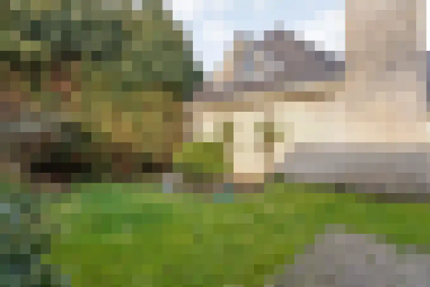 Baalder-Esch 20 Hardenberg thumbnail 87