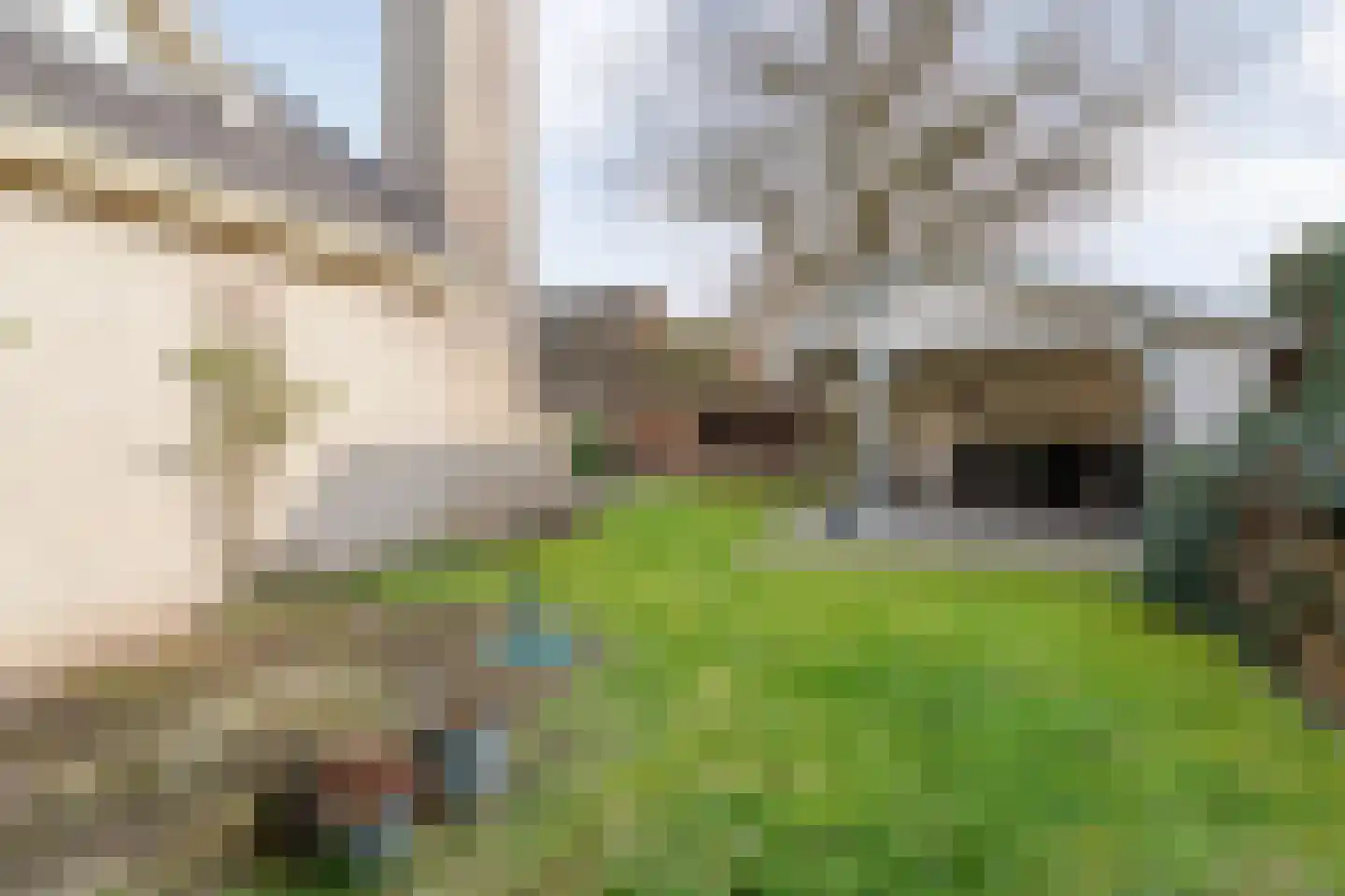 Baalder-Esch 20 Hardenberg thumbnail 89
