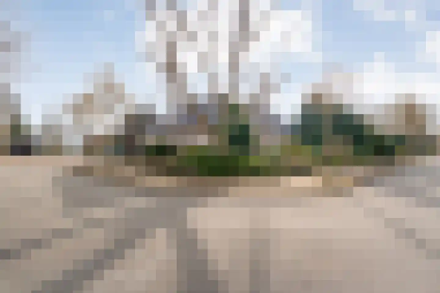 Baalder-Esch 20 Hardenberg thumbnail 90