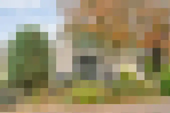 Baalder-Esch 29 Hardenberg thumbnail 10
