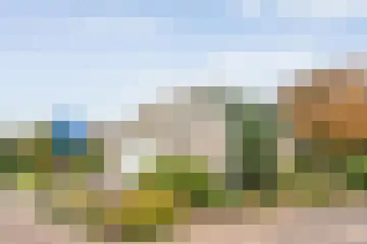 Baalder-Esch 29 Hardenberg thumbnail 11