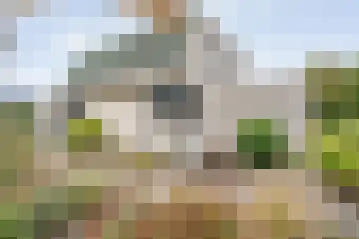 Baalder-Esch 29 Hardenberg thumbnail 12