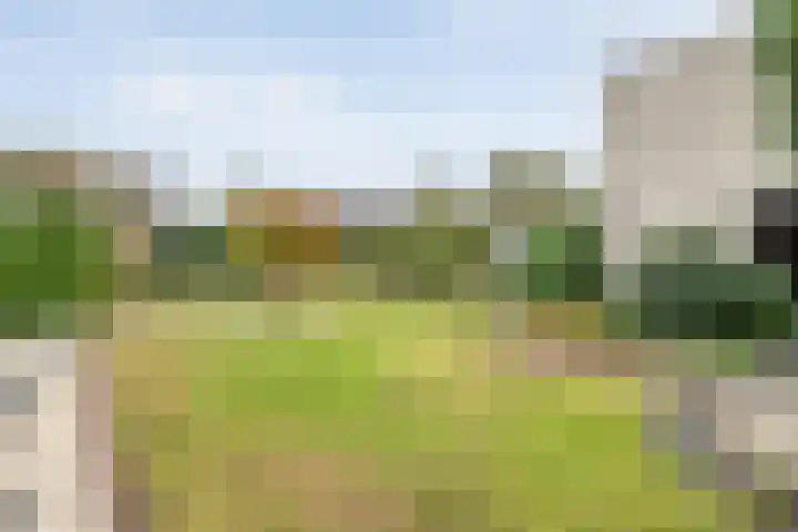 Baalder-Esch 29 Hardenberg thumbnail 15