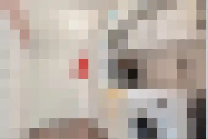 Baalder-Esch 29 Hardenberg thumbnail 33