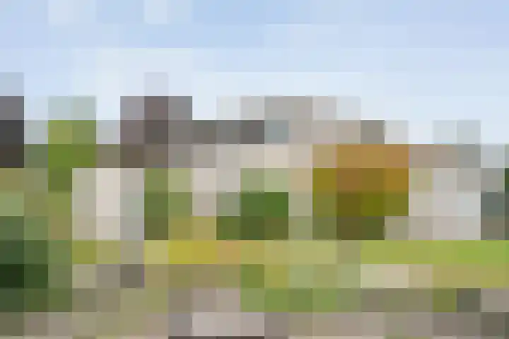 Baalder-Esch 29 Hardenberg thumbnail 52