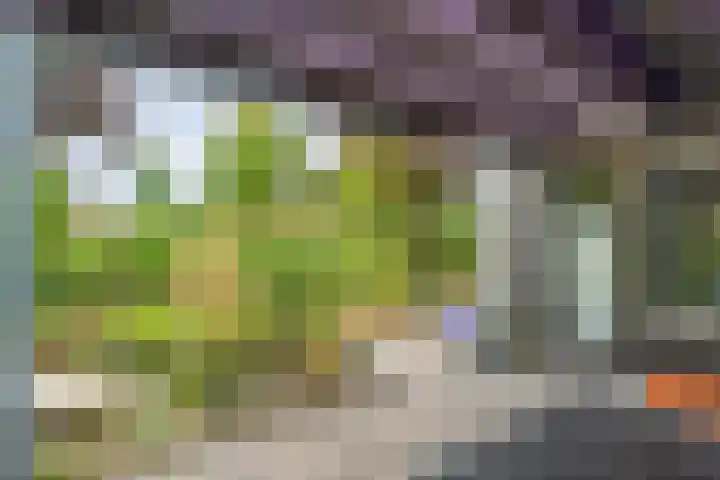 Baalder-Esch 29 Hardenberg thumbnail 54