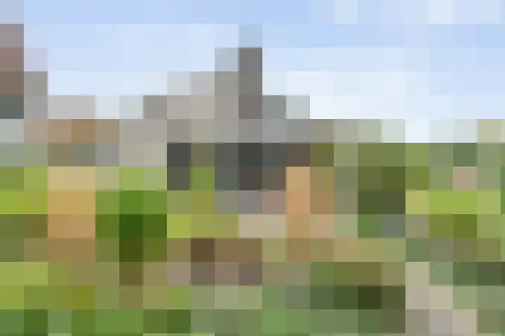 Baalder-Esch 29 Hardenberg thumbnail 56