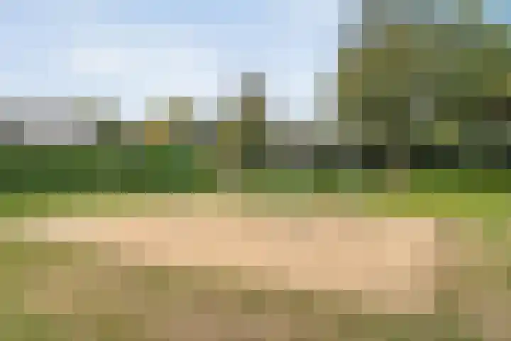 Baalder-Esch 29 Hardenberg thumbnail 58