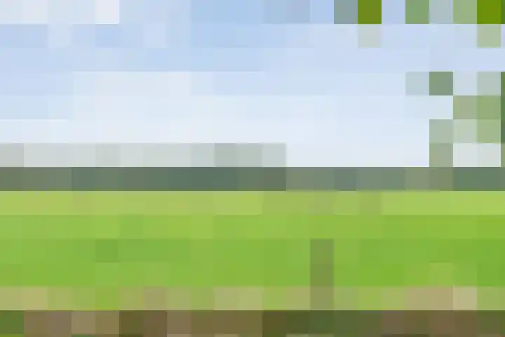 Baalder-Esch 29 Hardenberg thumbnail 59