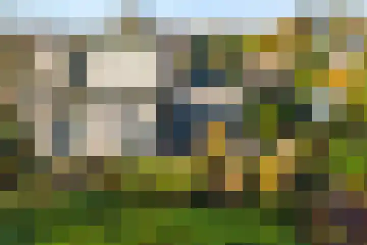 Baalder-Esch 29 Hardenberg thumbnail 6