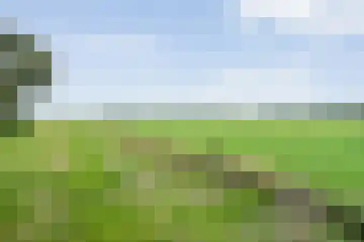 Baalder-Esch 29 Hardenberg thumbnail 60