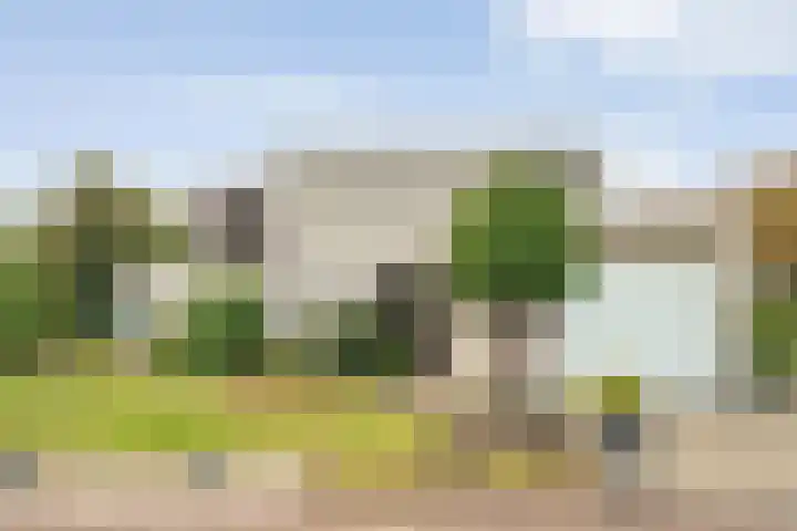 Baalder-Esch 29 Hardenberg thumbnail 8