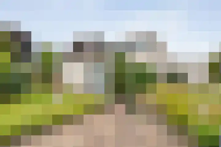 Baalder-Esch 29 Hardenberg thumbnail 9