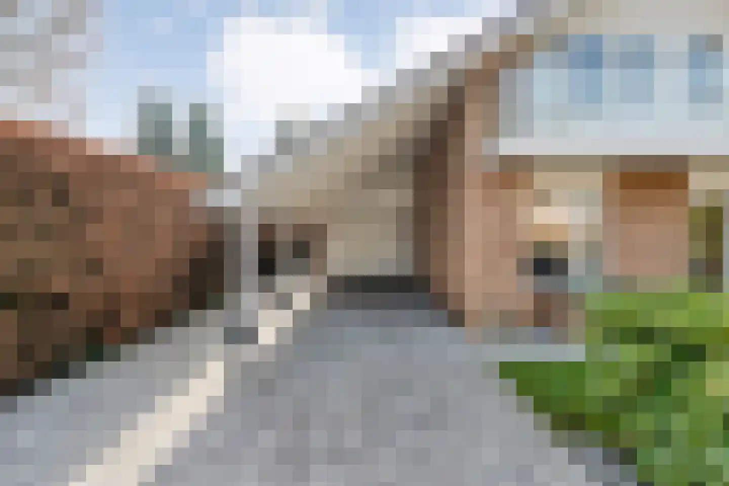 Baalder-Esch 3 Hardenberg thumbnail 15