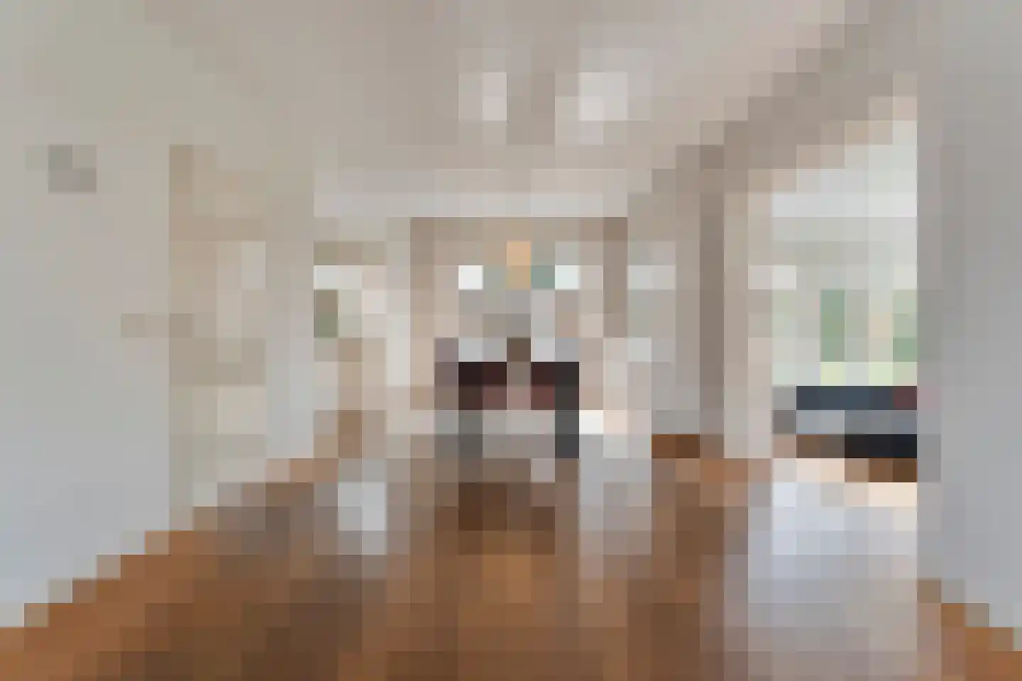 Baalder-Esch 3 Hardenberg thumbnail 32