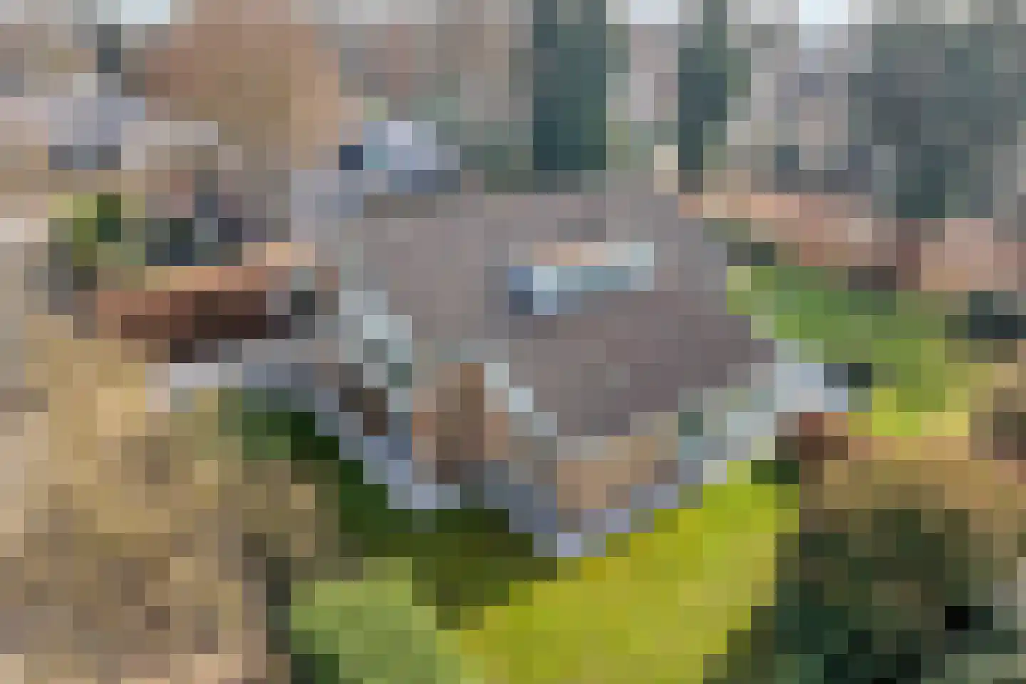 Baalder-Esch 3 Hardenberg thumbnail 4