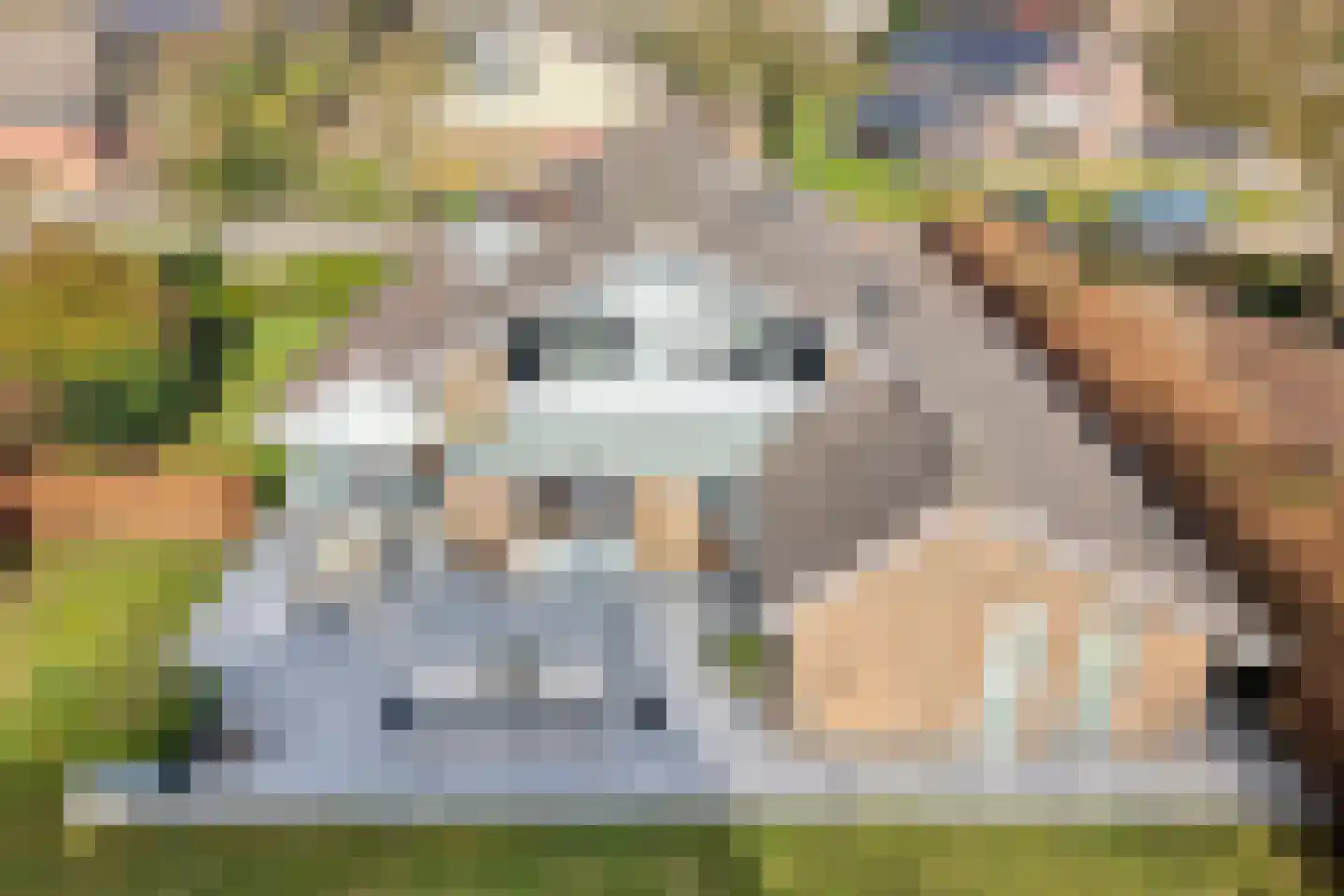 Baalder-Esch 3 Hardenberg thumbnail 5