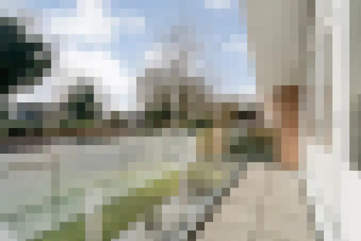 Baalder-Esch 3 Hardenberg thumbnail 59