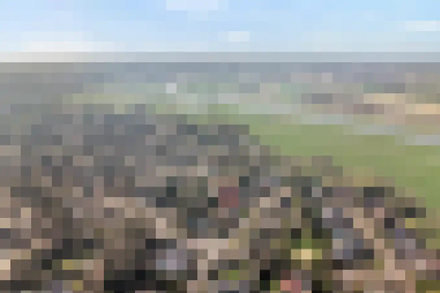 Baalder-Esch 3 Hardenberg thumbnail 7