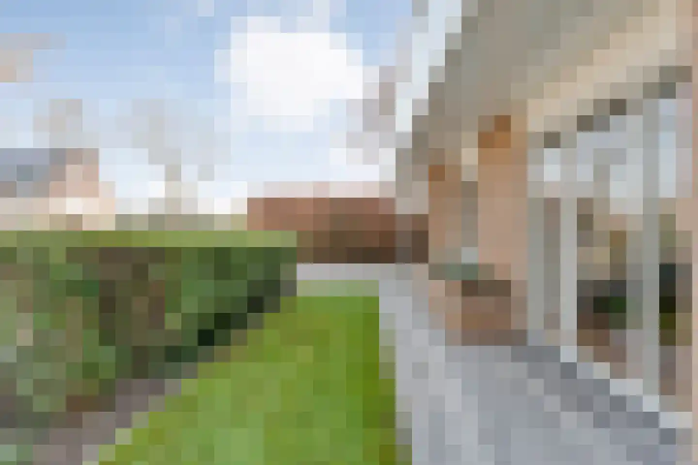 Baalder-Esch 3 Hardenberg thumbnail 81