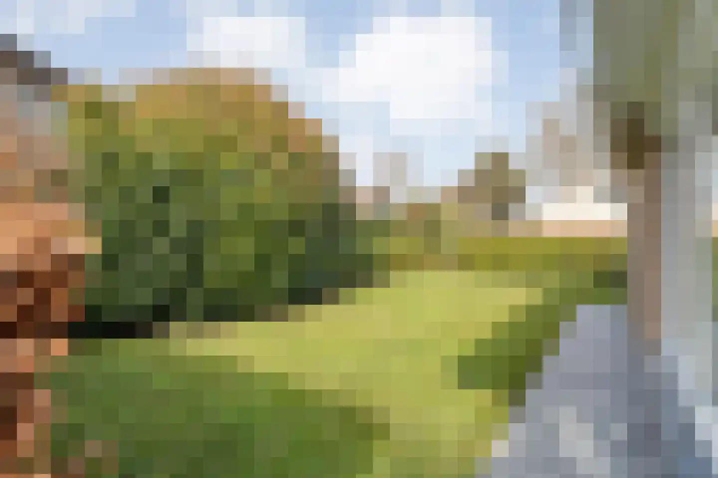 Baalder-Esch 3 Hardenberg thumbnail 82