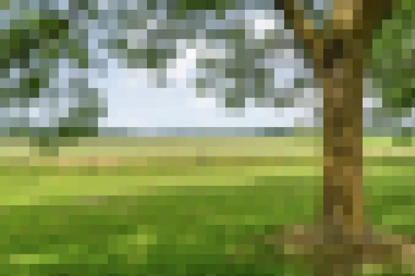 Baalder-Esch 53 Hardenberg thumbnail 11