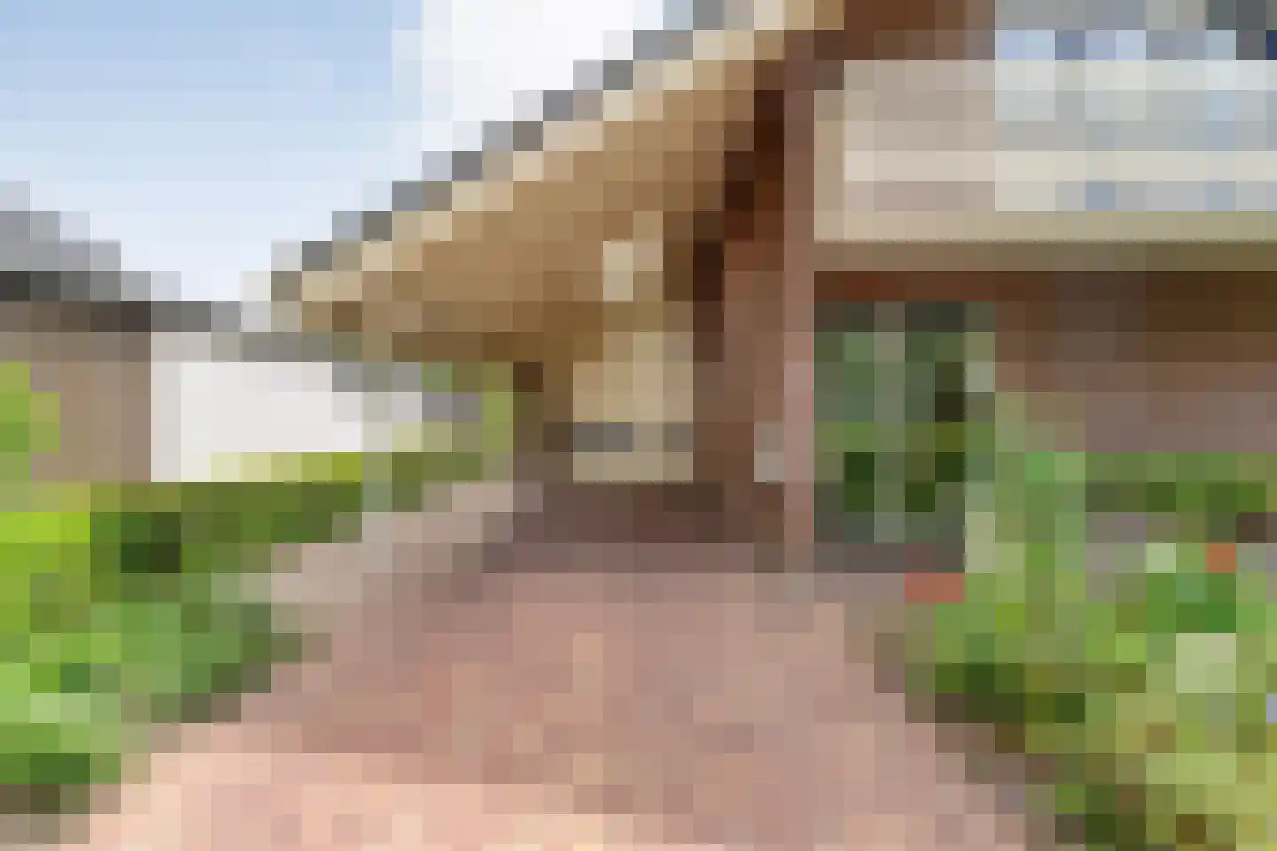 Baalder-Esch 53 Hardenberg thumbnail 15
