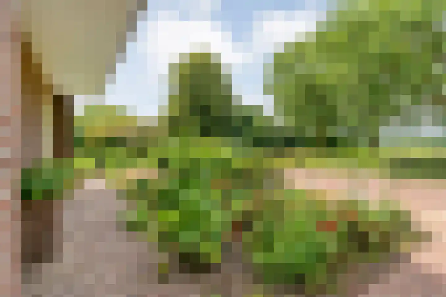 Baalder-Esch 53 Hardenberg thumbnail 16