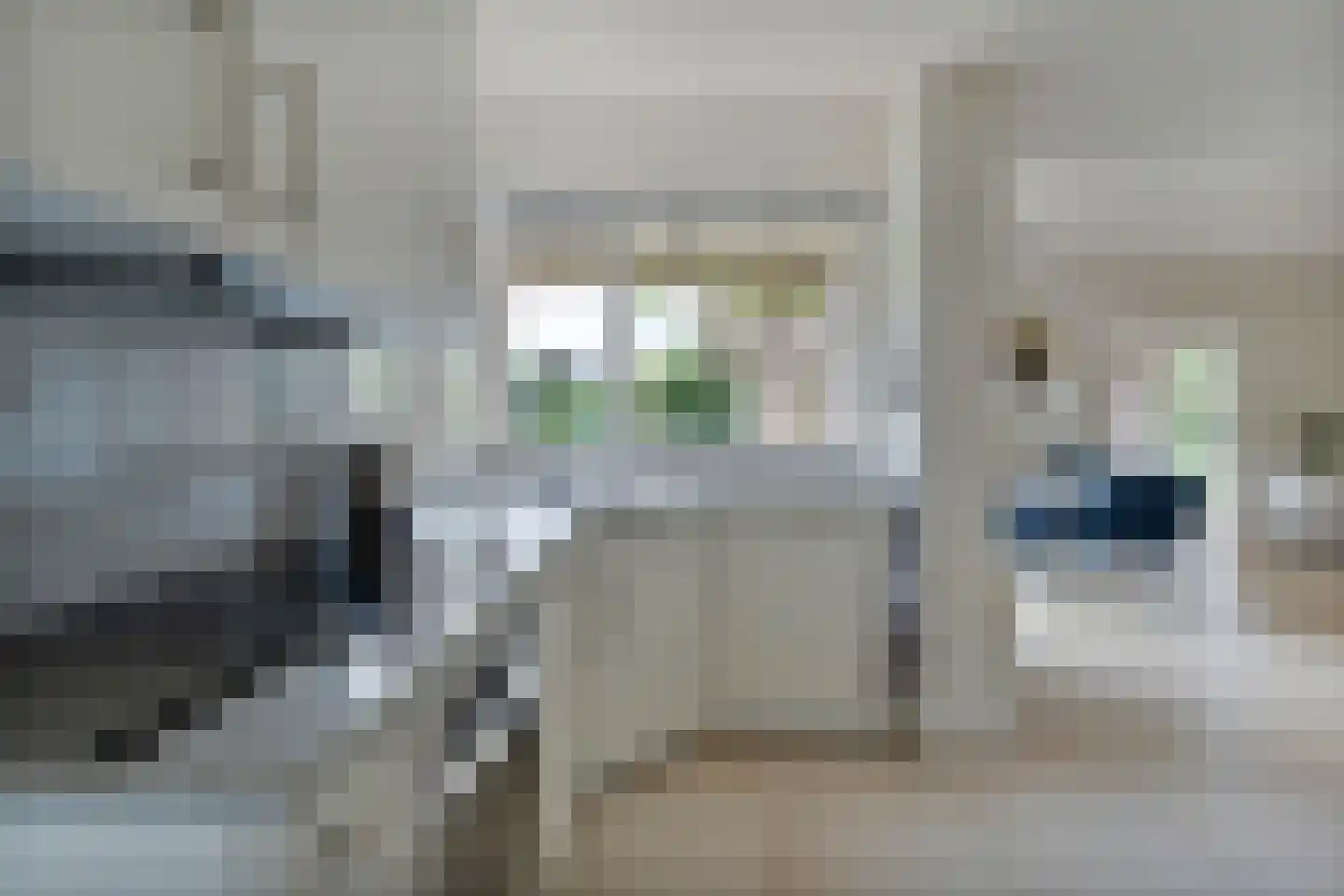 Baalder-Esch 53 Hardenberg thumbnail 34