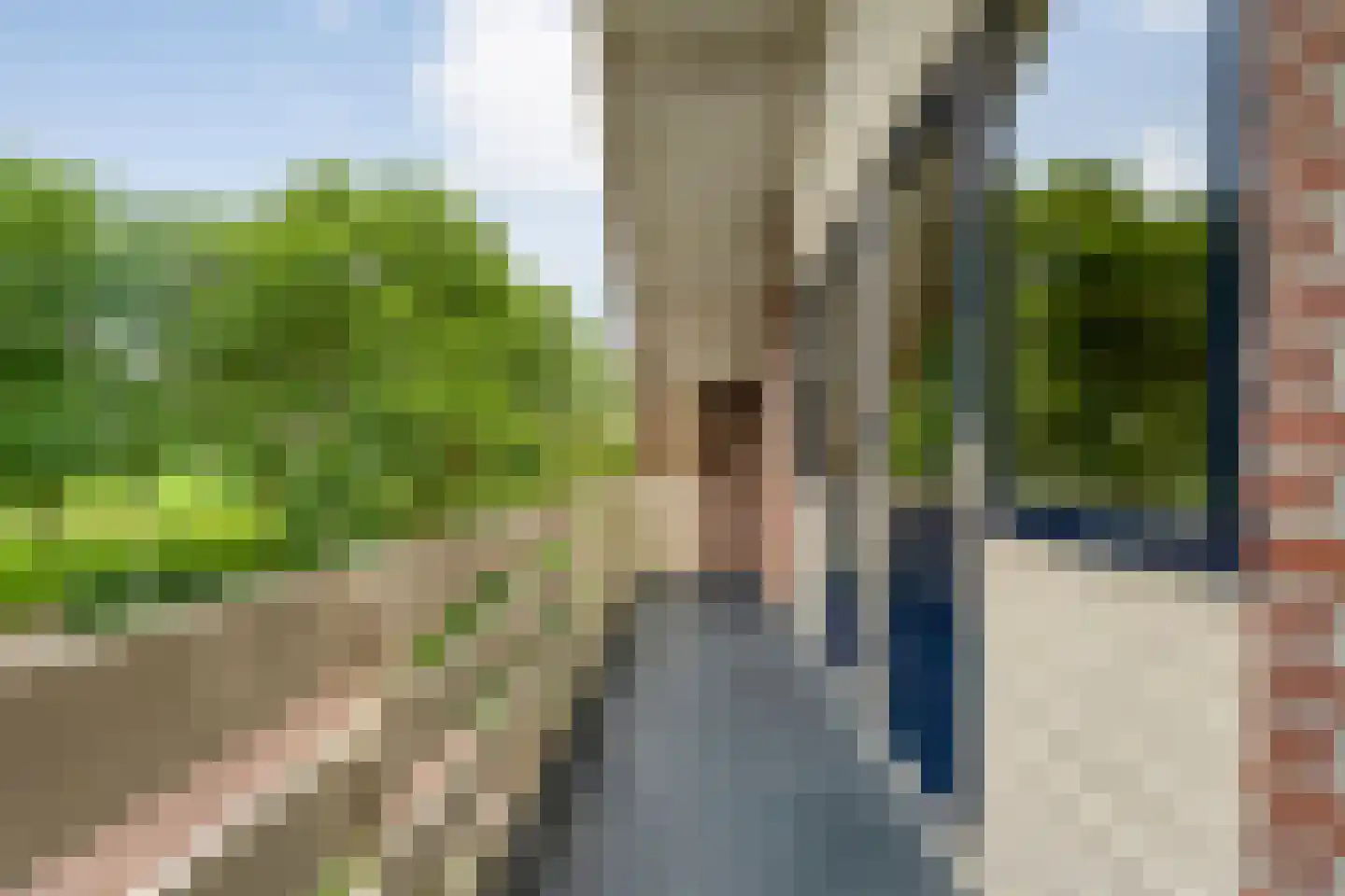 Baalder-Esch 53 Hardenberg thumbnail 49