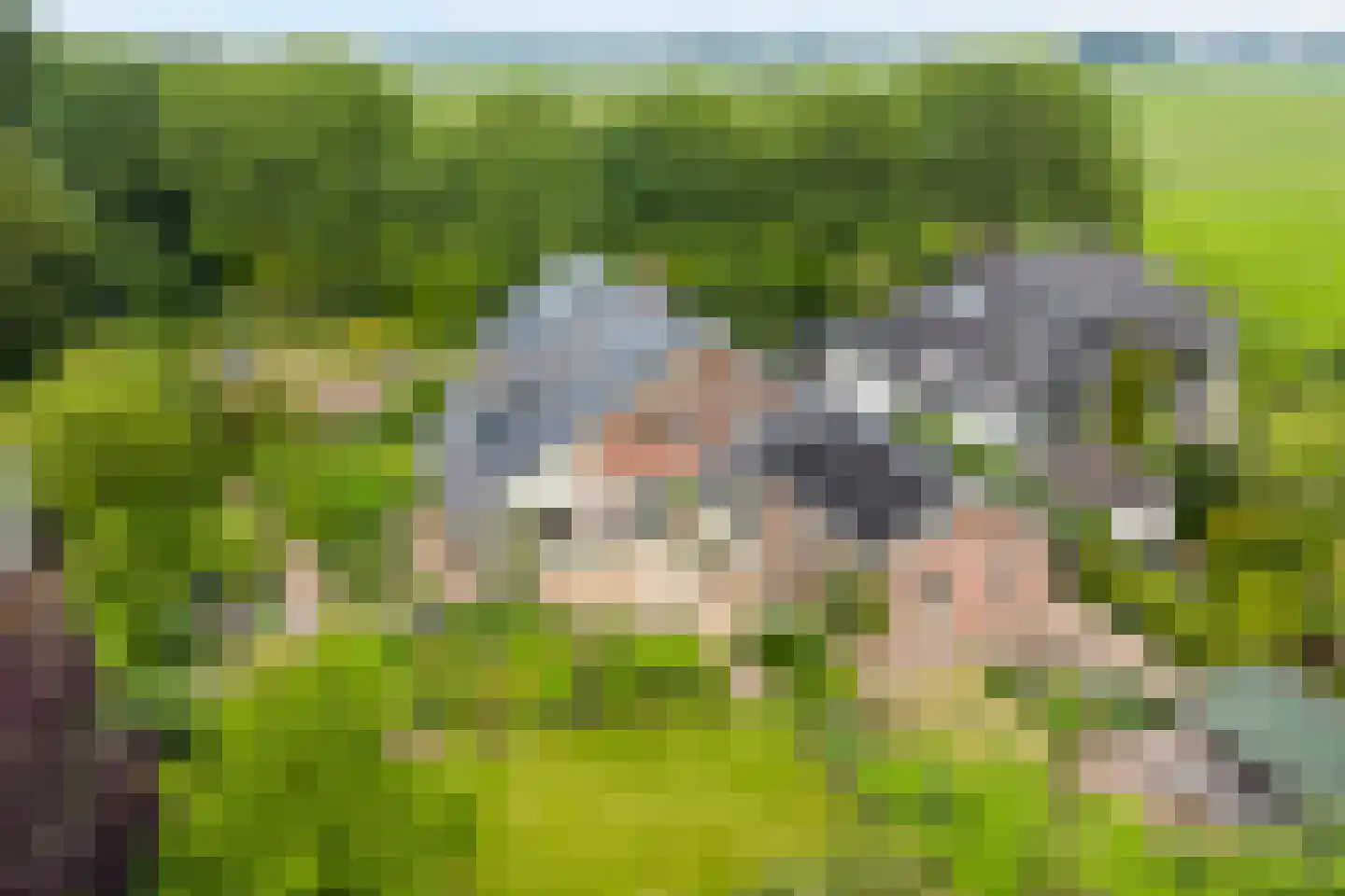 Baalder-Esch 53 Hardenberg thumbnail 5