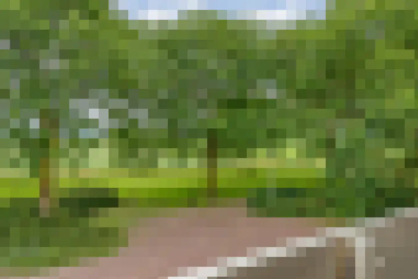 Baalder-Esch 53 Hardenberg thumbnail 50