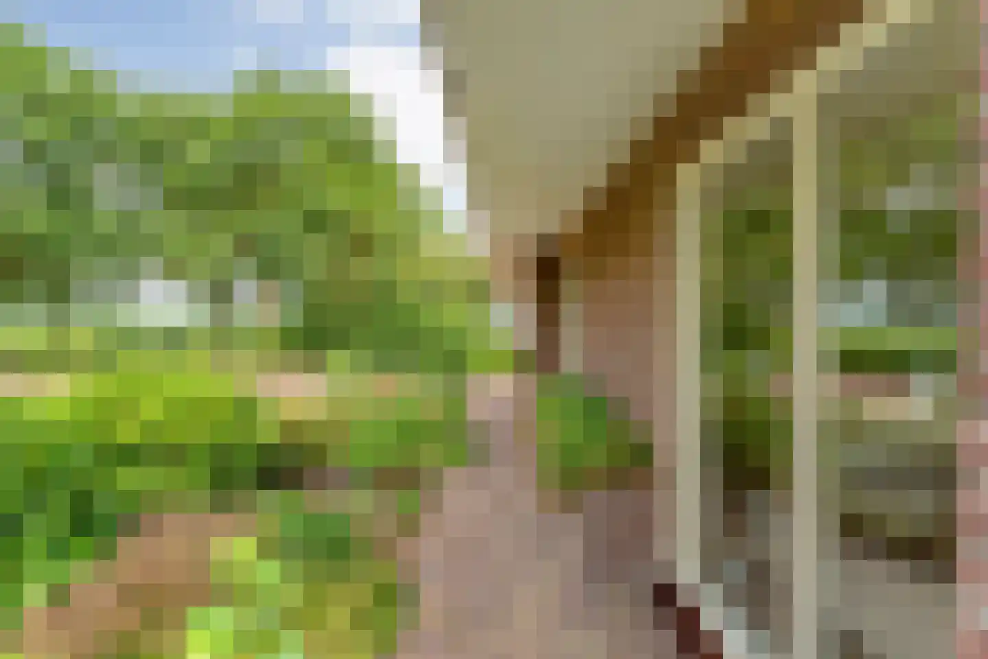 Baalder-Esch 53 Hardenberg thumbnail 63